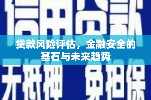 新林贷款风险评估，金融安全的基石与未来趋势