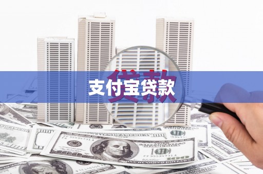 新林支付宝贷款