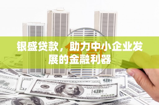 新林银盛贷款，助力中小企业发展的金融利器