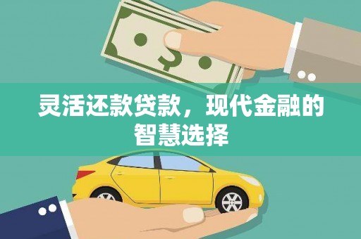 新林灵活还款贷款，现代金融的智慧选择