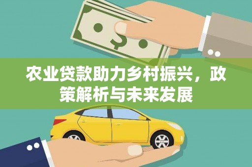新林农业贷款助力乡村振兴，政策解析与未来发展
