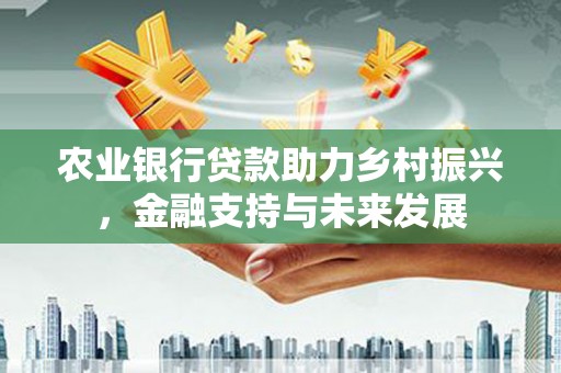 新林农业银行贷款助力乡村振兴，金融支持与未来发展