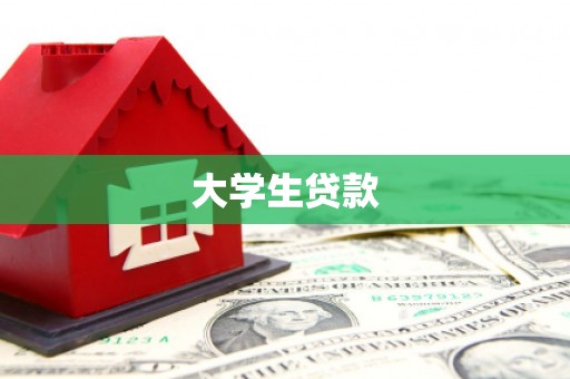 新林大学生贷款