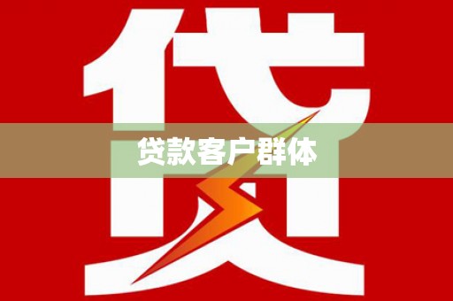 新林贷款客户群体