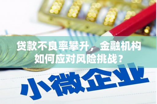 新林贷款不良率攀升，金融机构如何应对风险挑战？