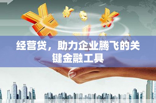 新林经营贷，助力企业腾飞的关键金融工具