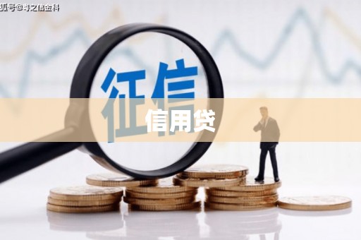 新林信用贷