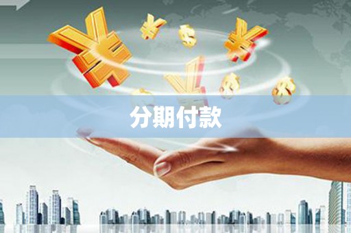 新林分期付款