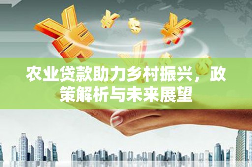 新林农业贷款助力乡村振兴，政策解析与未来展望