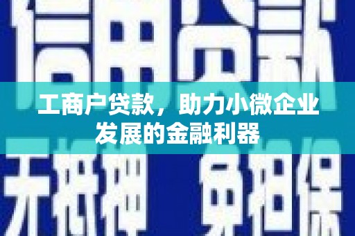 新林工商户贷款，助力小微企业发展的金融利器