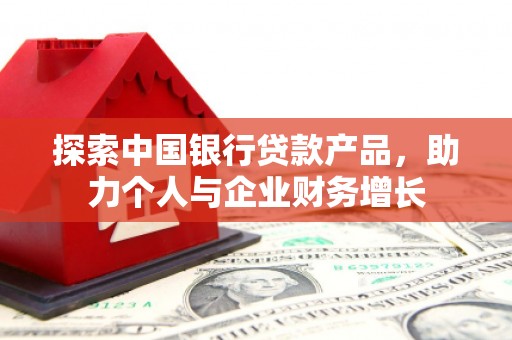 新林探索中国银行贷款产品，助力个人与企业财务增长