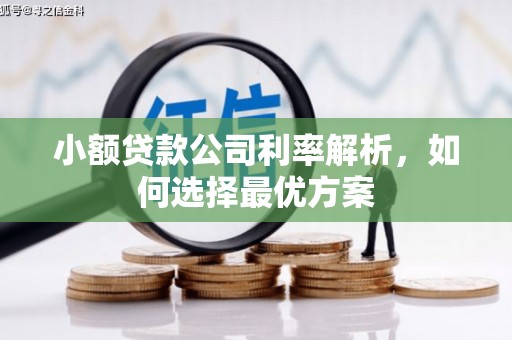 新林小额贷款公司利率解析，如何选择最优方案