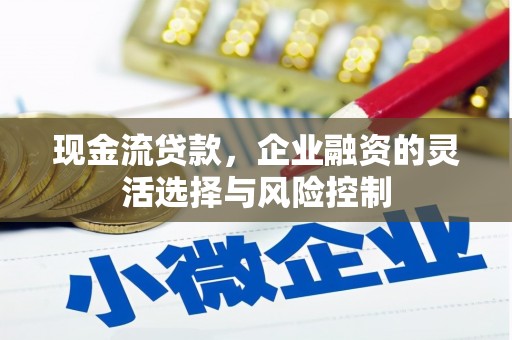 新林现金流贷款，企业融资的灵活选择与风险控制