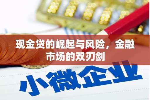 新林现金贷的崛起与风险，金融市场的双刃剑