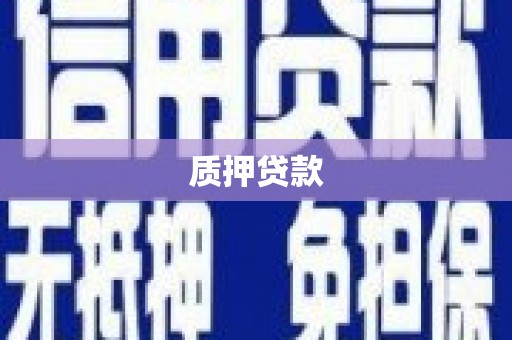 新林质押贷款