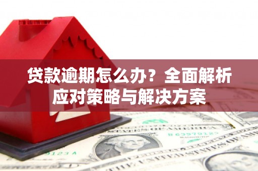 新林贷款逾期怎么办？全面解析应对策略与解决方案