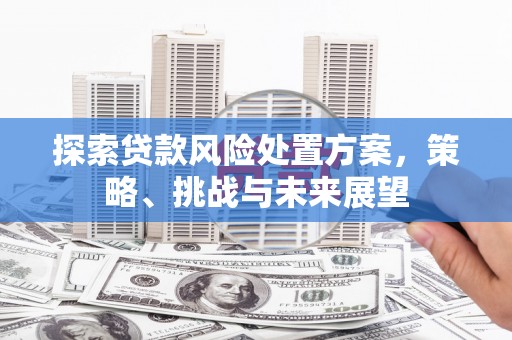 新林探索贷款风险处置方案，策略、挑战与未来展望