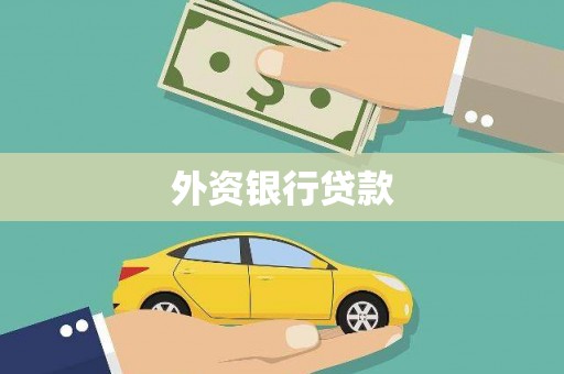 新林外资银行贷款