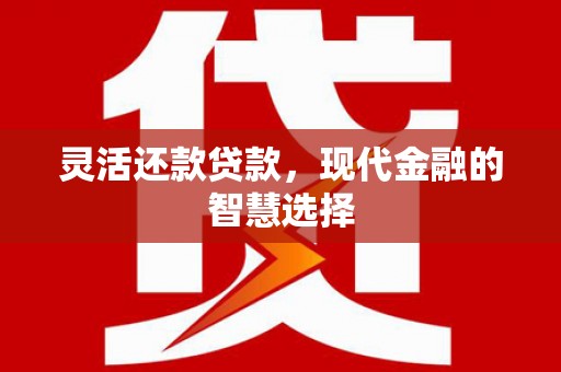 新林灵活还款贷款，现代金融的智慧选择