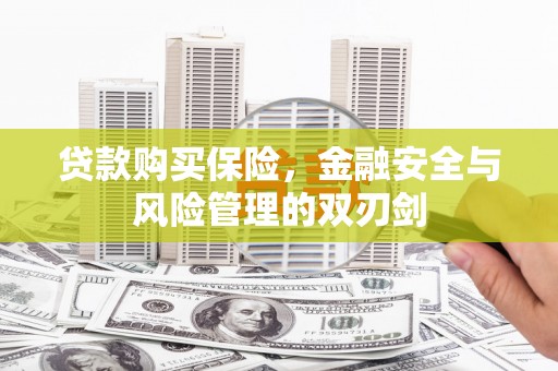 新林贷款购买保险，金融安全与风险管理的双刃剑