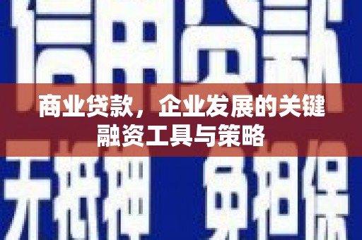新林商业贷款，企业发展的关键融资工具与策略