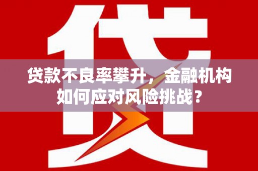 新林贷款不良率攀升，金融机构如何应对风险挑战？