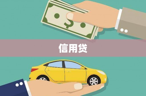 新林信用贷