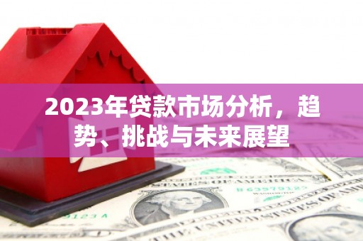 新林2023年贷款市场分析，趋势、挑战与未来展望