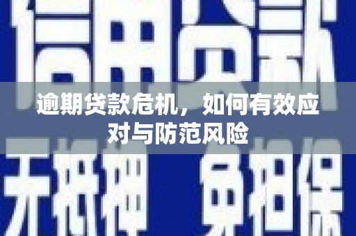 新林逾期贷款危机，如何有效应对与防范风险