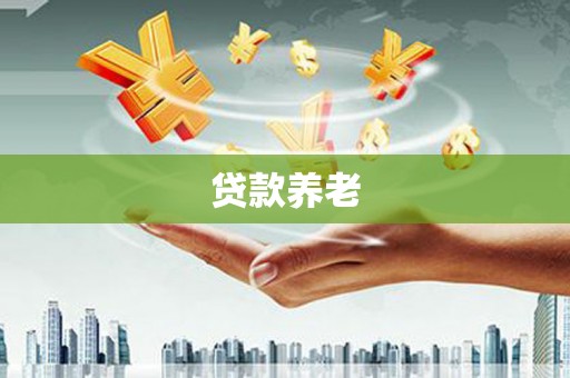 新林贷款养老