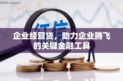新林企业经营贷，助力企业腾飞的关键金融工具