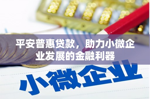 新林平安普惠贷款，助力小微企业发展的金融利器