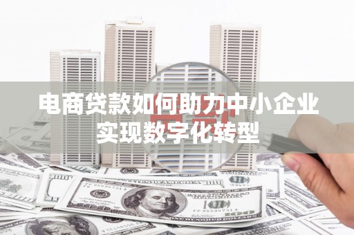 新林电商贷款如何助力中小企业实现数字化转型