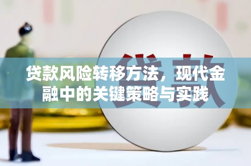 新林贷款风险转移方法，现代金融中的关键策略与实践