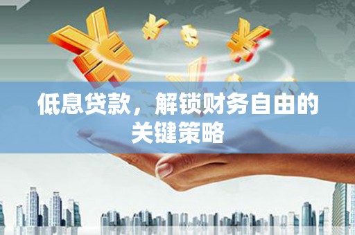 新林低息贷款，解锁财务自由的关键策略