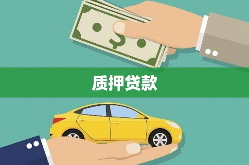 新林质押贷款