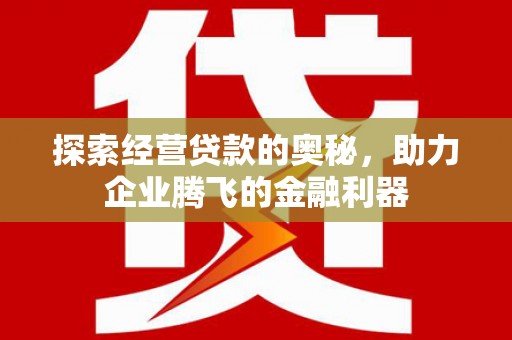 新林探索经营贷款的奥秘，助力企业腾飞的金融利器
