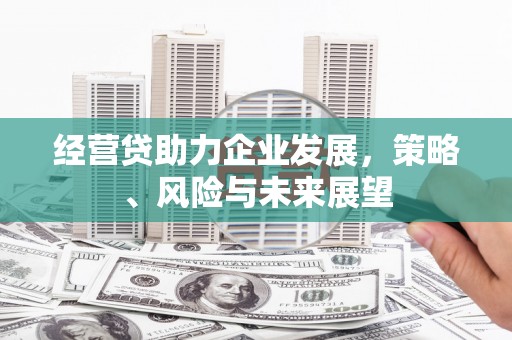 新林经营贷助力企业发展，策略、风险与未来展望