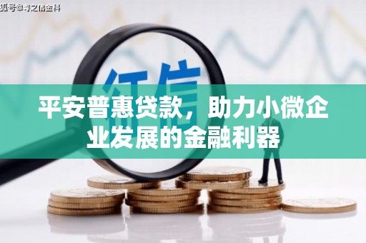 新林平安普惠贷款，助力小微企业发展的金融利器