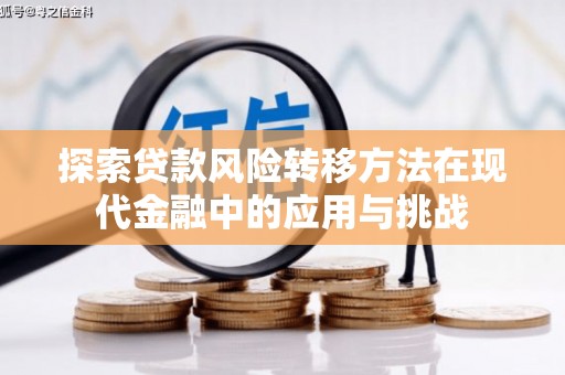新林探索贷款风险转移方法在现代金融中的应用与挑战