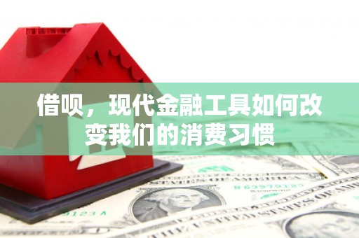 新林借呗，现代金融工具如何改变我们的消费习惯