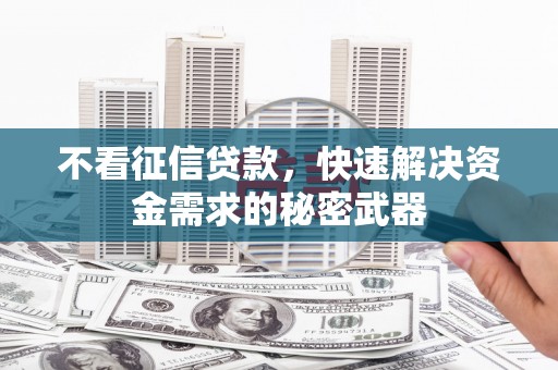 新林不看征信贷款，快速解决资金需求的秘密武器