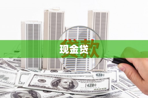 新林现金贷