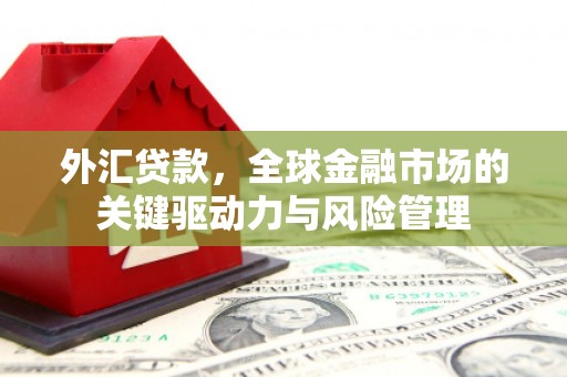 新林外汇贷款，全球金融市场的关键驱动力与风险管理