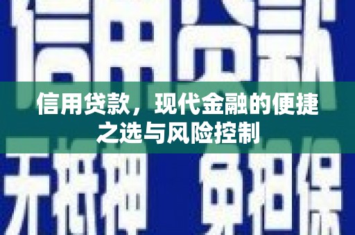 新林信用贷款，现代金融的便捷之选与风险控制