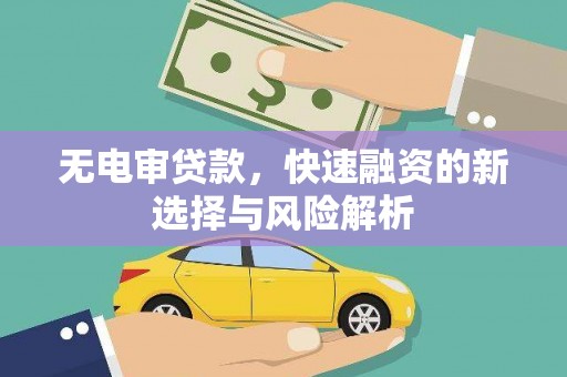 新林无电审贷款，快速融资的新选择与风险解析