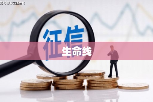 新林生命线