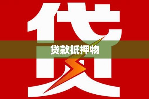 新林贷款抵押物