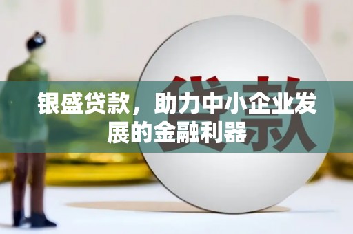 新林银盛贷款，助力中小企业发展的金融利器