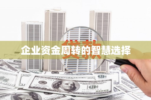 新林企业资金周转的智慧选择